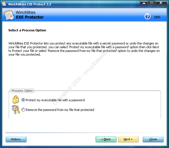 WinUtilities Professional 15.89 download the new version for mac