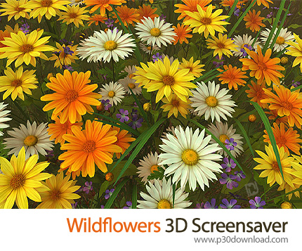 Wildflowers 3D Screensaver v1.0 Build 1 Crack