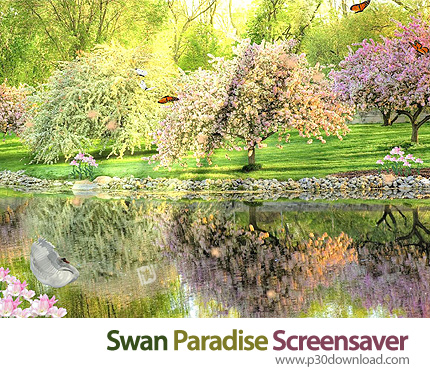 Swan Paradise Screensaver Crack