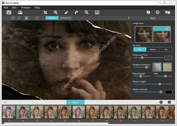 JixiPix RipPix v1.01 x86/x64 Crack