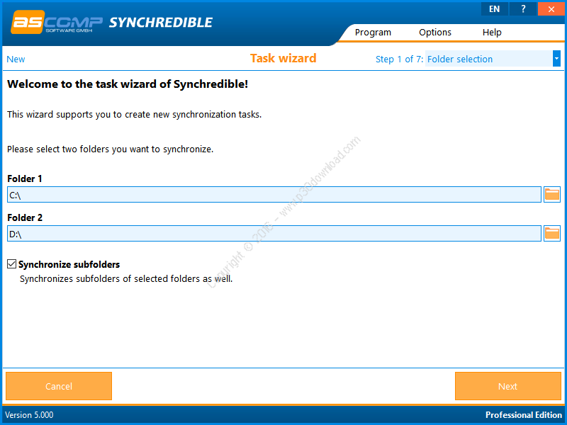 Synchredible Professional Edition 8.104 instal the new version for windows