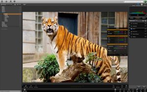 IDimager Photo Supreme v4.0.1.1002 x64 Crack